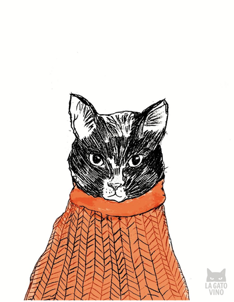 Gato sweater